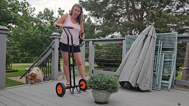 Amazon.com: Plant Caddy with Wheels, Heavy Duty Plant Mover Cart with  Adjustable Grabbing Arm and Strap, 175 LBS T-Handle Plant Dolly with  Suction Cups for Plant Pots Garden Pot Trolley Indoor Outdoor