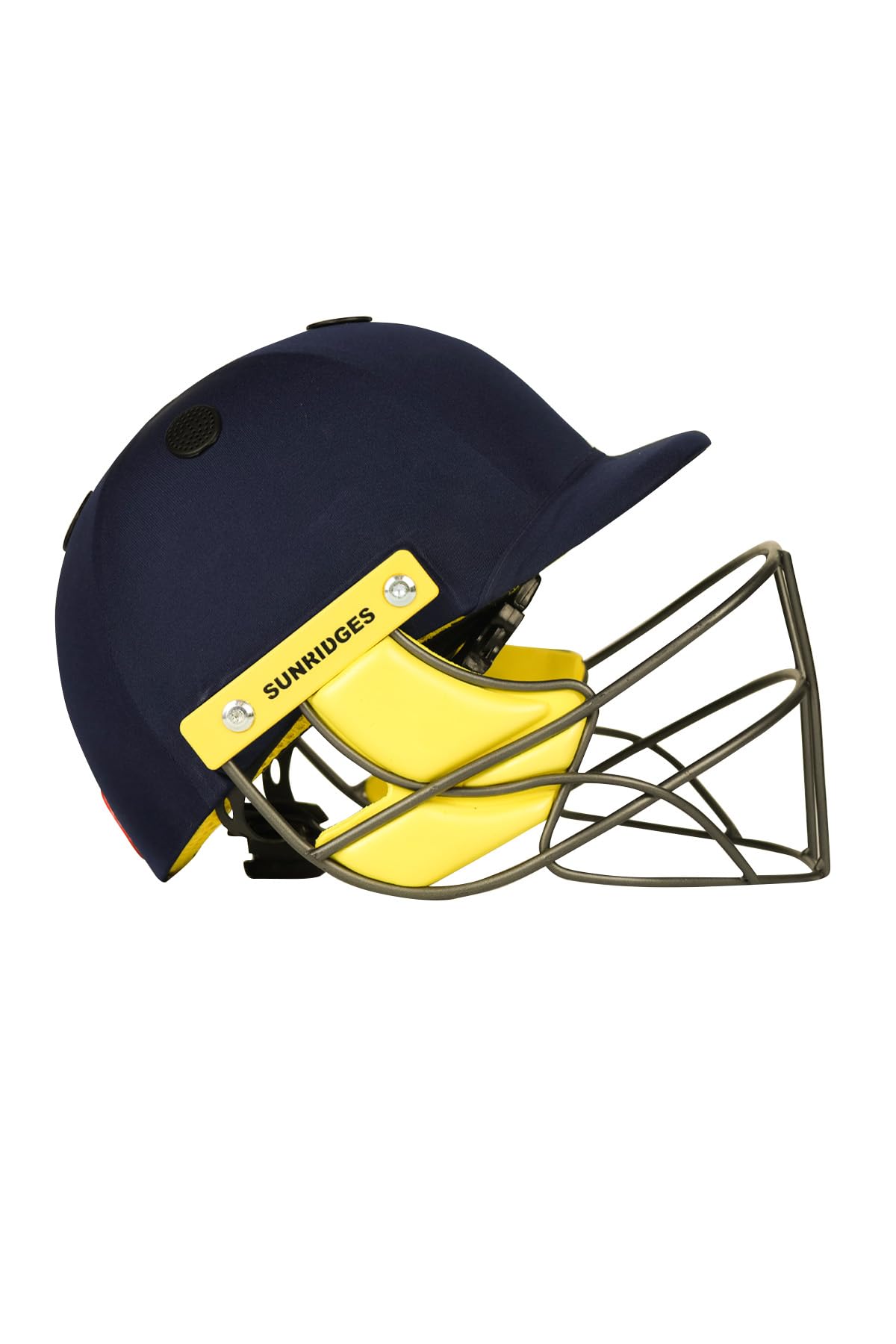 SS Pro Premium Cricket Helmet (B0CB7ZJ9VH) Amazon Price History, Amazon Price Tracker
