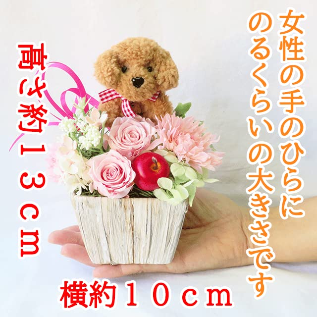 Amazon｜サンモクスイ 花 誕生日プレゼント 女性 フラワーギフト