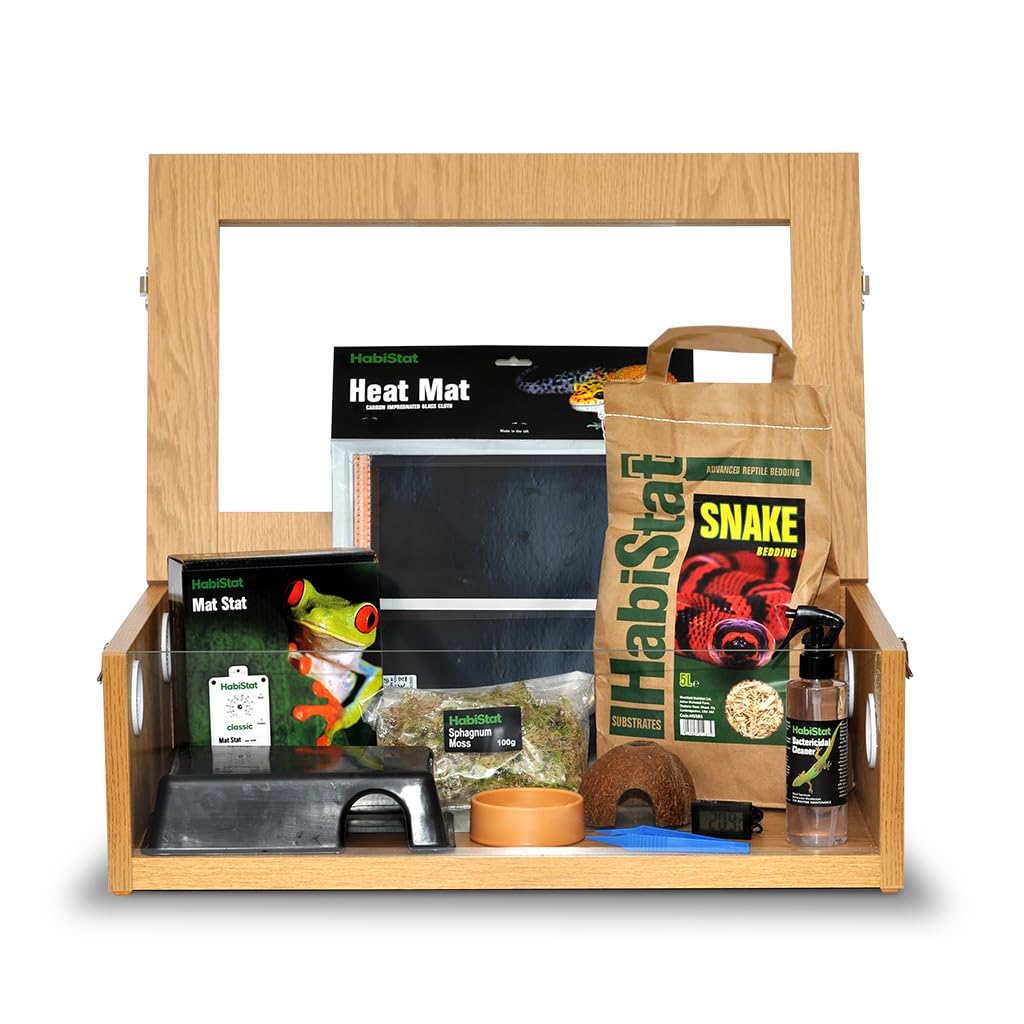 HabiStat Hatching Snake Starter Kit in Oak