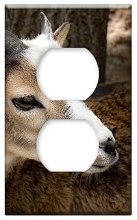 Switch Plate Outlet Cover - Goat Kid Zoo Fallow Deer Nature Animal Summer