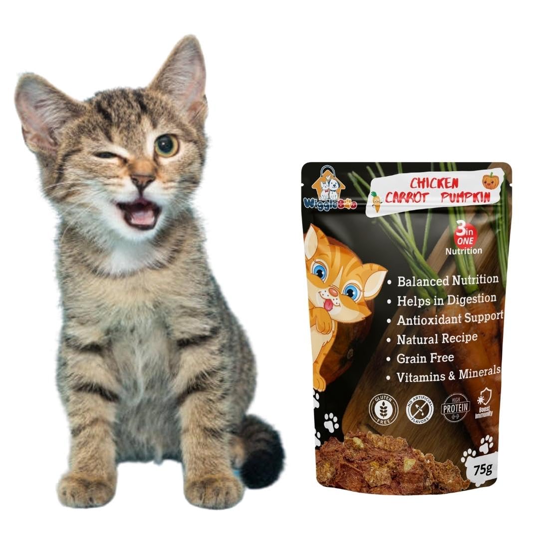 Chicken, Carrot & Pumpkin Cat Treat | Protein Rich | Natural Detoxifier | Crunchy Snack | 75g