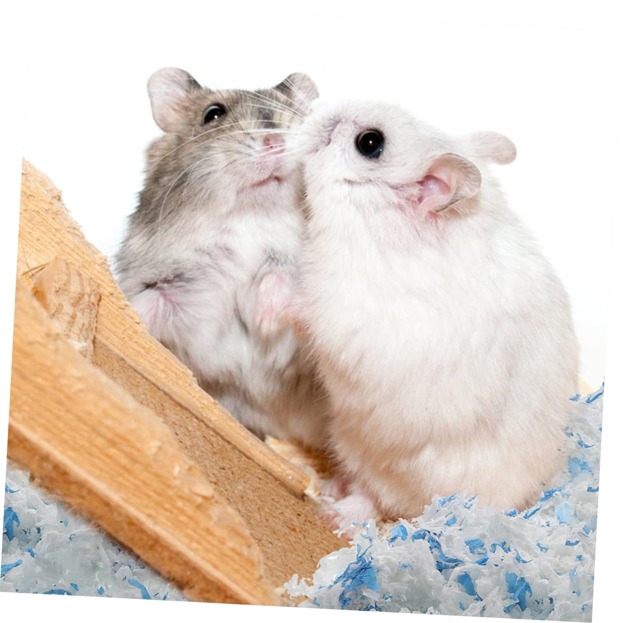 Lettiera per Piccoli Animali Confezione da 2 Imbottitura per Nido di Criceti per Porcellini Dindia E Ratti Morbida E Soffice in Carta