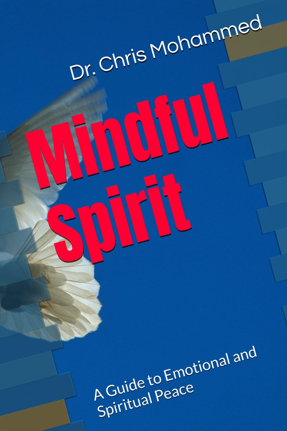 Mindful Spirit: A Guide to Emotional and Spiritual Peace