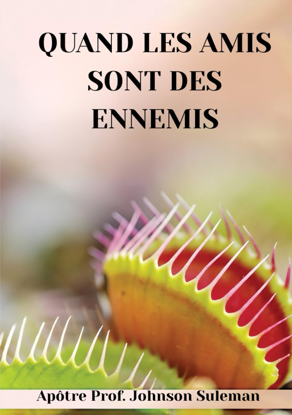 QUAND LES AMIS SONT DES ENNEMIS