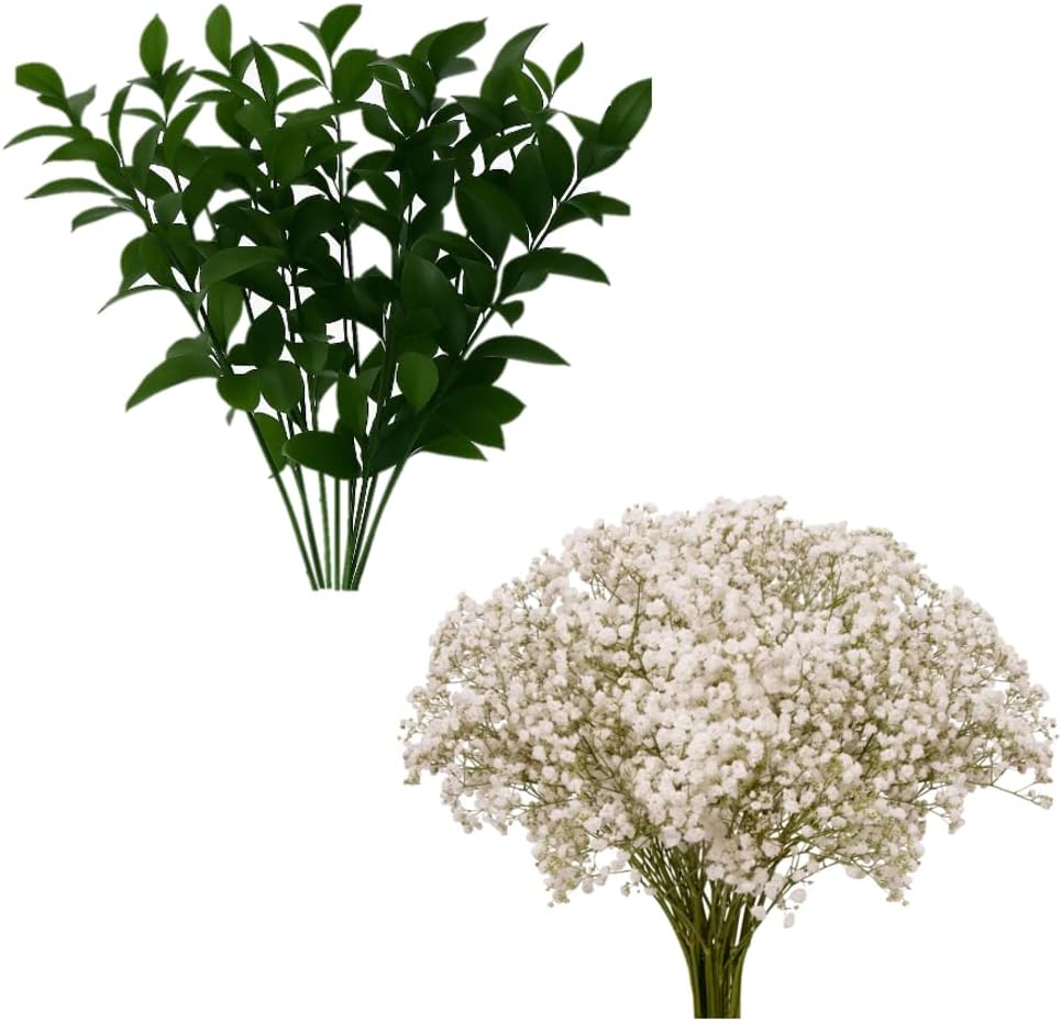 GlobalRose 60 Stems Fresh Fillers -30 Stems of Baby's Breath and 30 Stems of Ruscus- Fresh Flower Delivery for Baby Shower