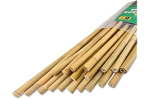 20 Pcs Thicker 6 Ft Natural Garden Stakes