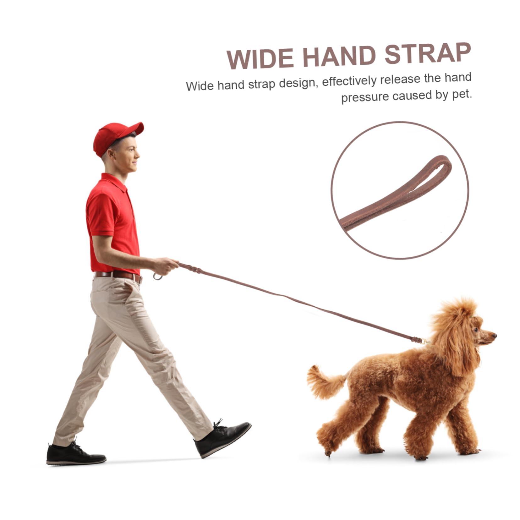 Sosoport 3piezas Correa De Perro Portátil De Resistente para Paseos Diseño De Hebilla Adecuada para Perros y Longitud