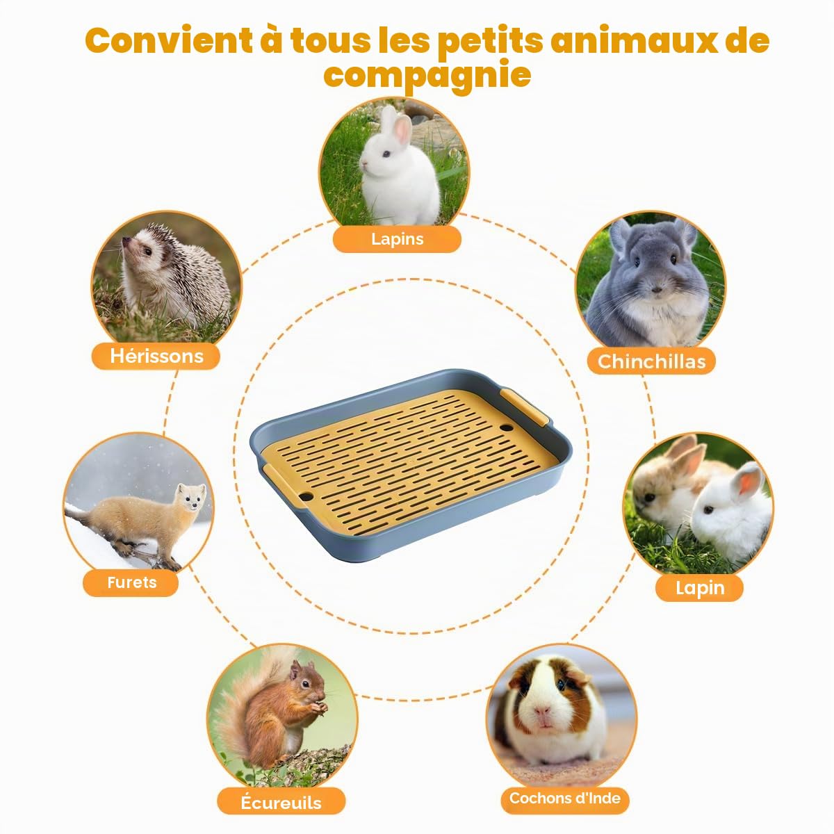 Bac Litière Rectangle pour Lapin, Hamster, Cochon d'Inde 27x18.5x4 cm Plateau avec Grille