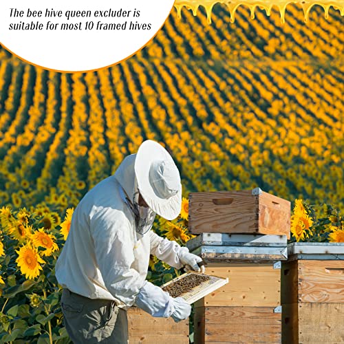 Rtteri 20 Packs 10 Frame Plastic Queen Excluder Beekeeping Queen Excluders Bee Supply Queen Excluder Fits 10 Frame Langstroth Beehives Beekeeping Supplies Kit Tools for All Beekeeping Levels (White) by Rtteri - Image 4