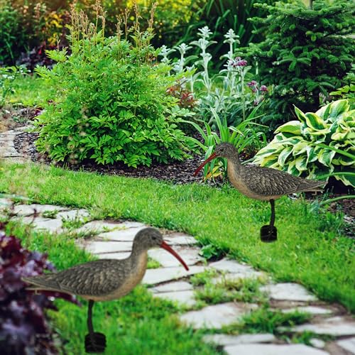 Oiseau décoratif lot de 2 pour embellir facilement un extérieur vide