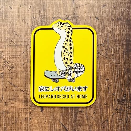 ƂɃIp܂ }OlbgXebJ[/qEgJQhL Ip[hQbR[