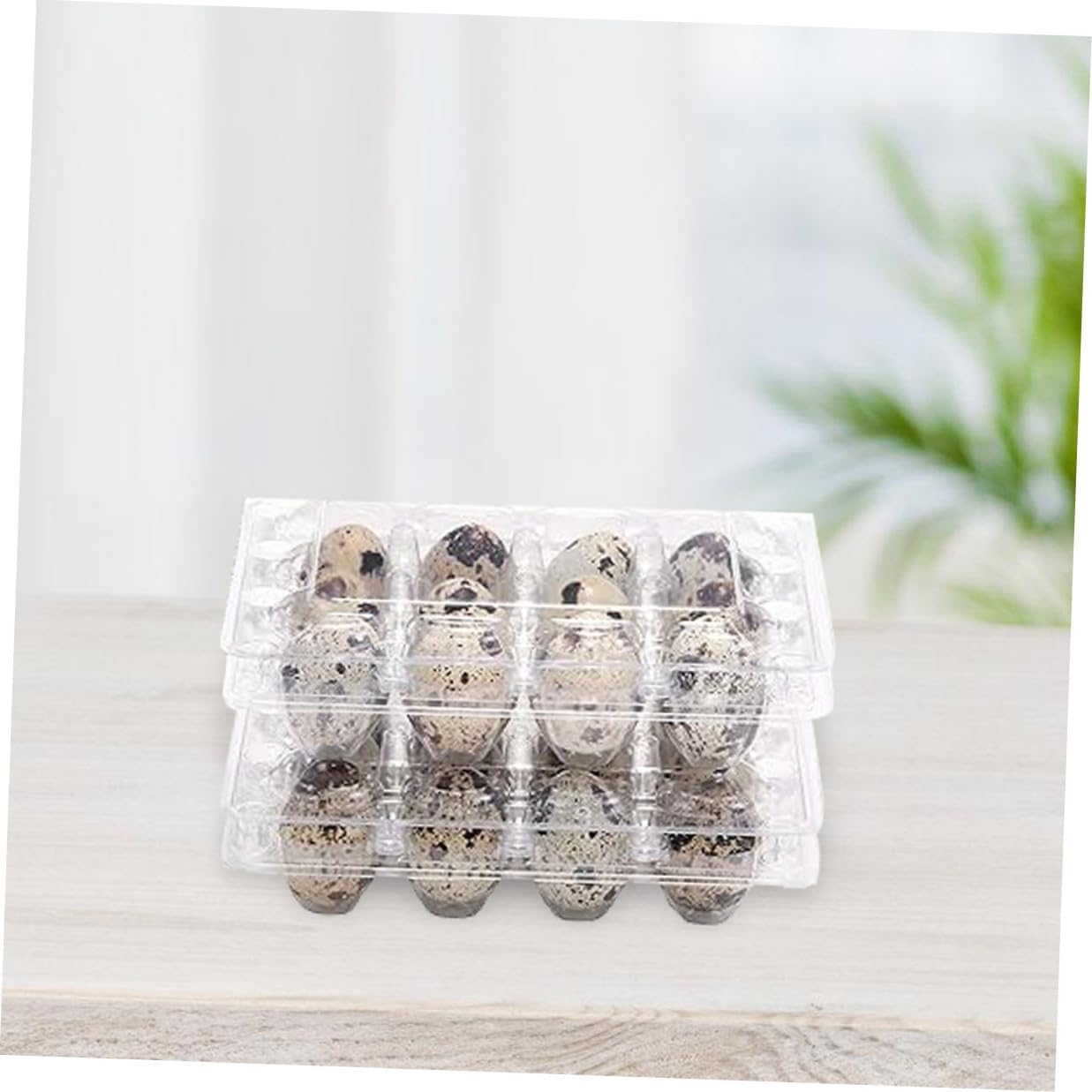 70pcs Plastic Quail Egg Cartons Tray with Shockproof Design for Convenient Access, Jumbo Size Egg Storage Box Suitable for Home Use and Retail