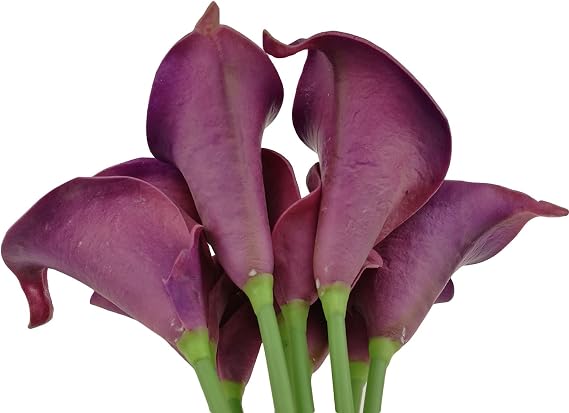 Winterworm Faux Latex Flower Real Touch Artificial Calla Lily Flower Bouquet Wedding Party Home Garden Restaurant Decoration - Bunch of 10 (Plum Purple)