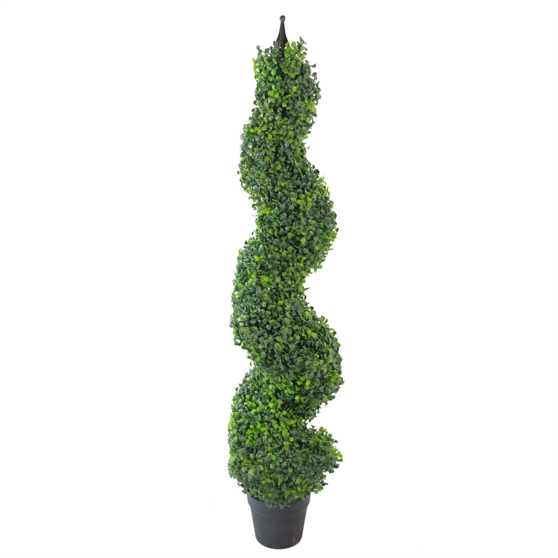 B&Q -  Buxus Boxwood Spiral Trees 120Cm Buxus Spiral Single 120Cm Plants