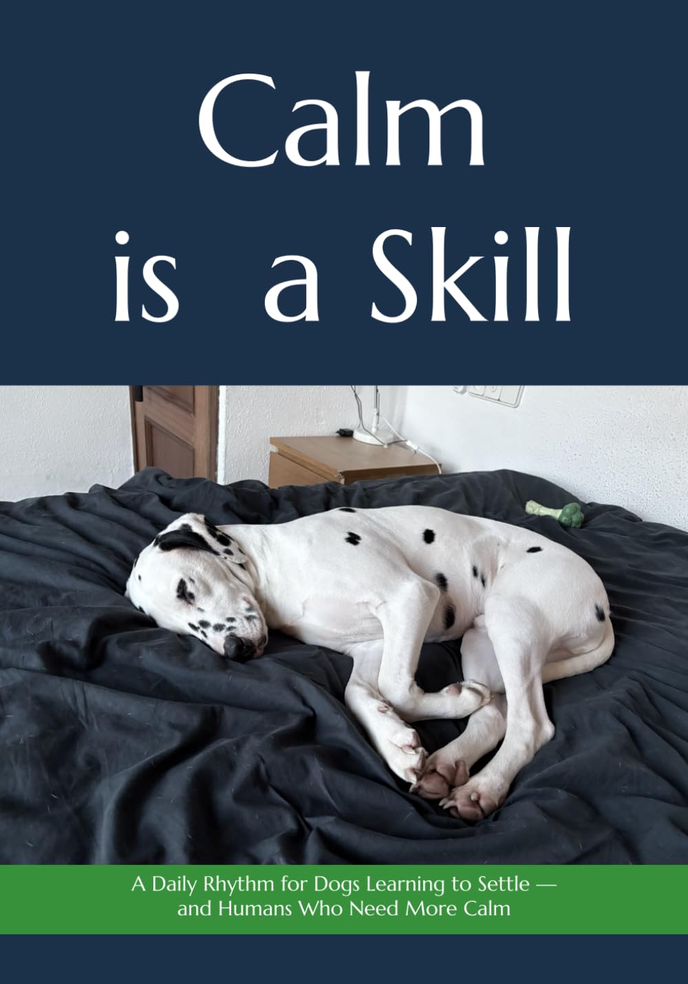 Calm is a Skill: A Daily Rhythm for Dogs Learning to Settle — and Humans Who Need More Calm