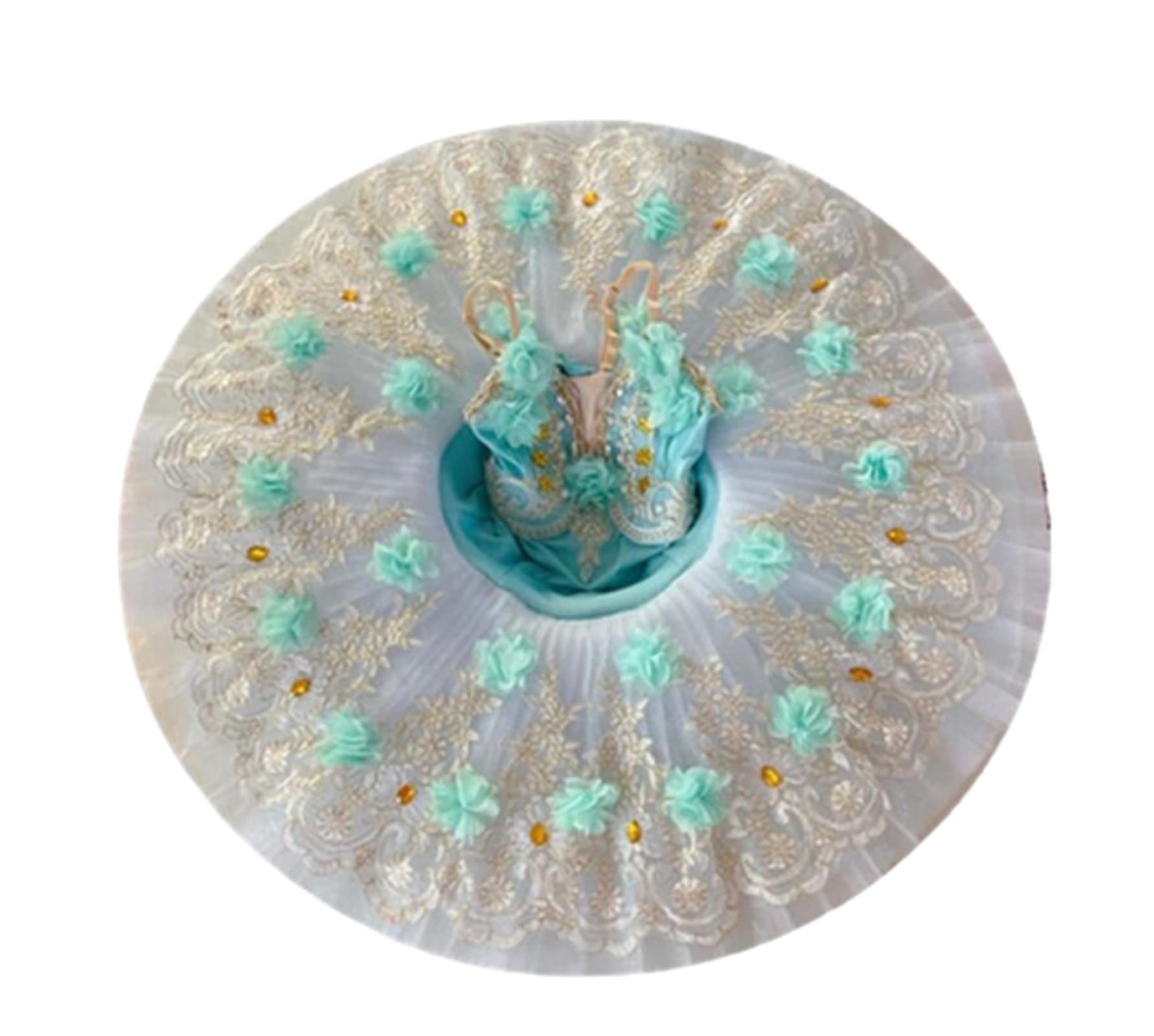 Tutu de Ballet Professionnel pour Filles Robe de Ballerine pour Les Fêtes et Les Compétitions Costume de Danse Classique pour Enfants Vêtements D'Entraînement Quotidiens