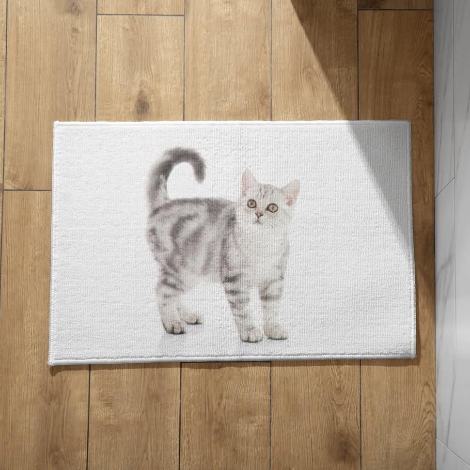 Paillasson d'entrée intérieur chat CEVAN pour un hall propre