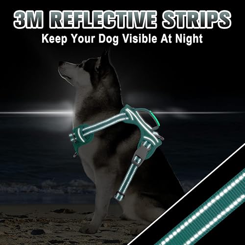 Miniatura 6 de BARKBAY - Arnés para perro sin tirones, arnés para perro reflejante con clip frontal y agarradera de fácil control para entrenamiento de caminata,
