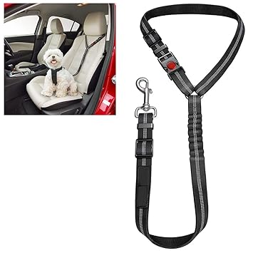 ZIBUYU? Black Dog Car Seat Belt for Small Medium Size Pets with Elastic Nylon Bungee Buffer, Adjustable Safety Heavy Duty Elastic Lead Harness -100CM