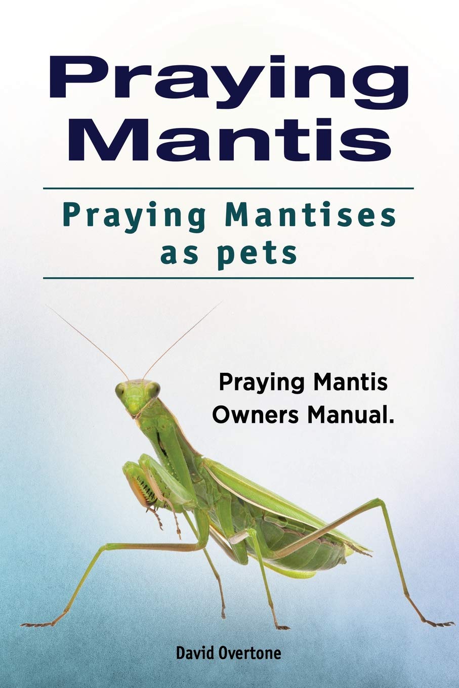 Praying Mantis. Praying Mantises as Pets. Praying Paperback – Import, 12 August 2018