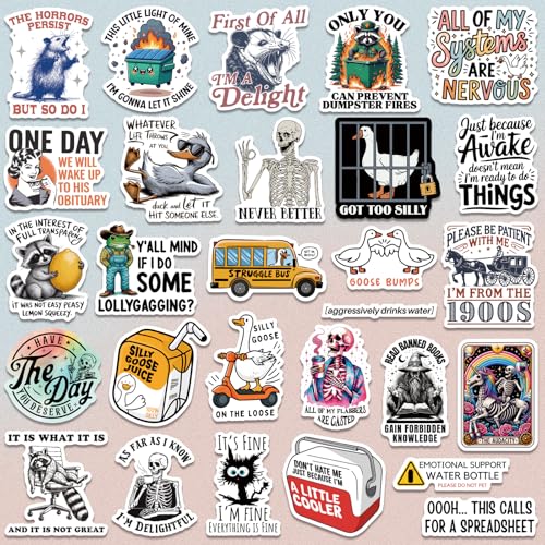 200 PCS Funny Holographic Stickers for Adults, Waterproof Vinyl Sarcastic Meme Decals for Laptop, Water Bottle, Phone, Kindle, Journal, Scrapbook, Bumper, Skateboard, Luggage, No Repeats