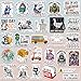 200 PCS Funny Holographic Stickers for Adults, Waterproof Vinyl Sarcastic Meme Decals for Laptop, Water Bottle, Phone, Kindle, Journal, Scrapbook, Bumper, Skateboard, Luggage, No Repeats
