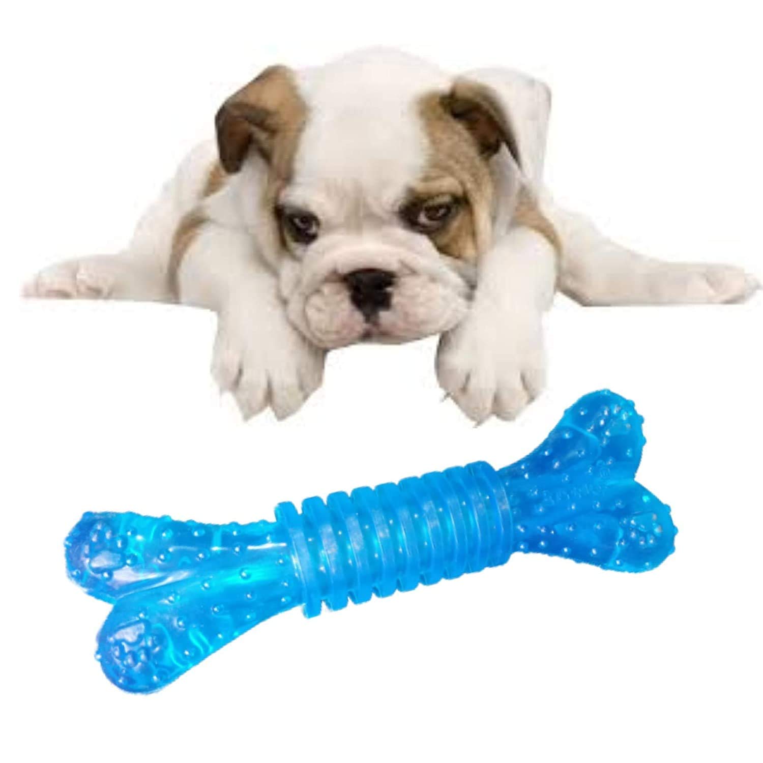 See full amazon price history chart for BLACK DOG Rubber Flavoured Puppy Bone Toys for Dogs for Teething (Color May Vary) BLACK DOG Rubber Flavoured Puppy Bone Toys for Dogs for Teething (Color May Vary) (B08MBZ4PRL) Amazon Price History, Amazon Price Tracker