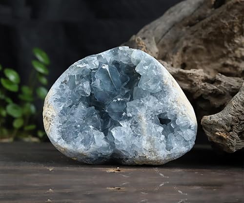 Miniatura 5 de MOGEMT Geodas septarianas grandes piedras de cristal curativo racimo de roca septario drusa irregular para decoración del hogar, espécimen de 1.5-2