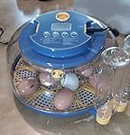 Review Image by FearNoT FearNoT