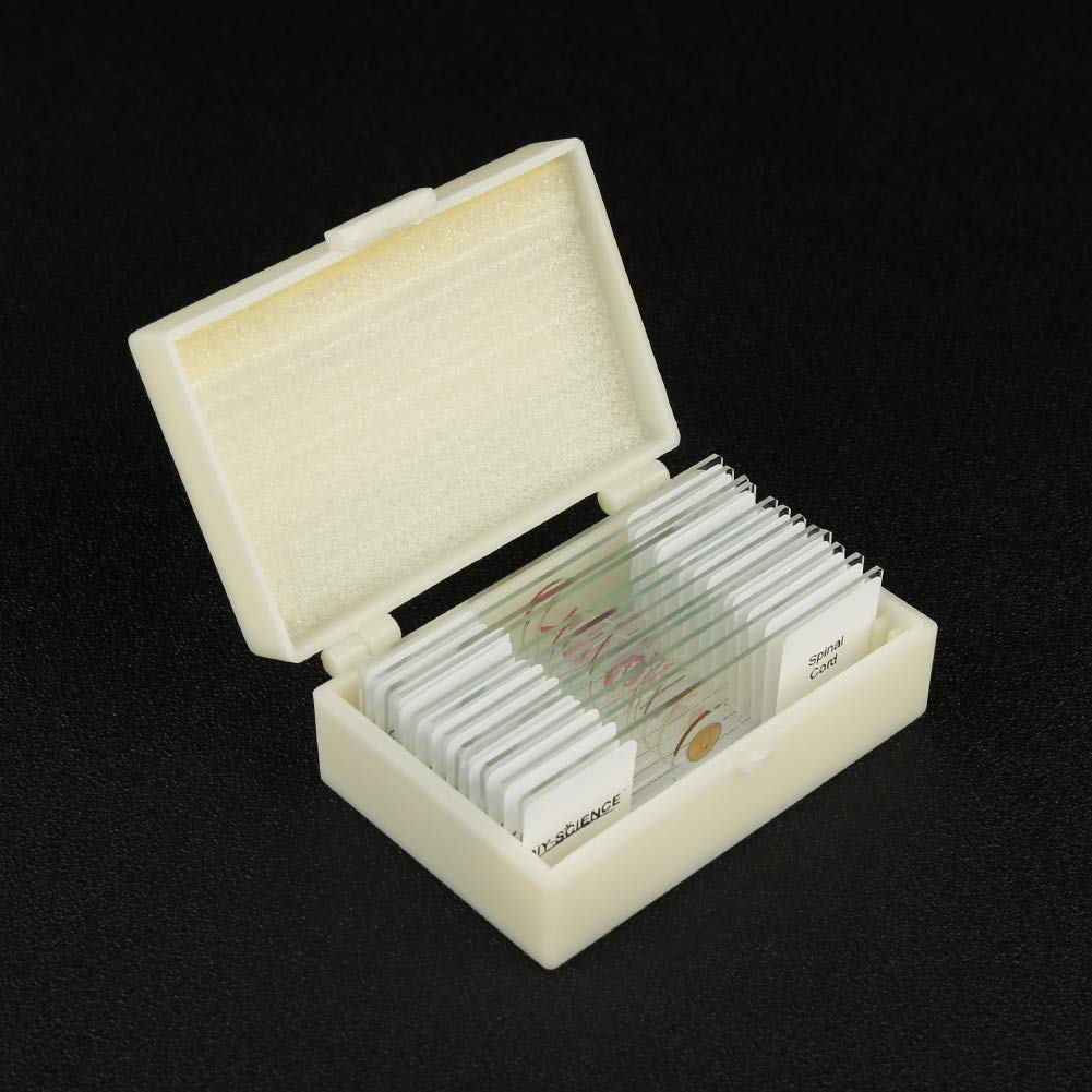 Snapklik.com : Prepared Vertebrate Histology Identification Microscope ...