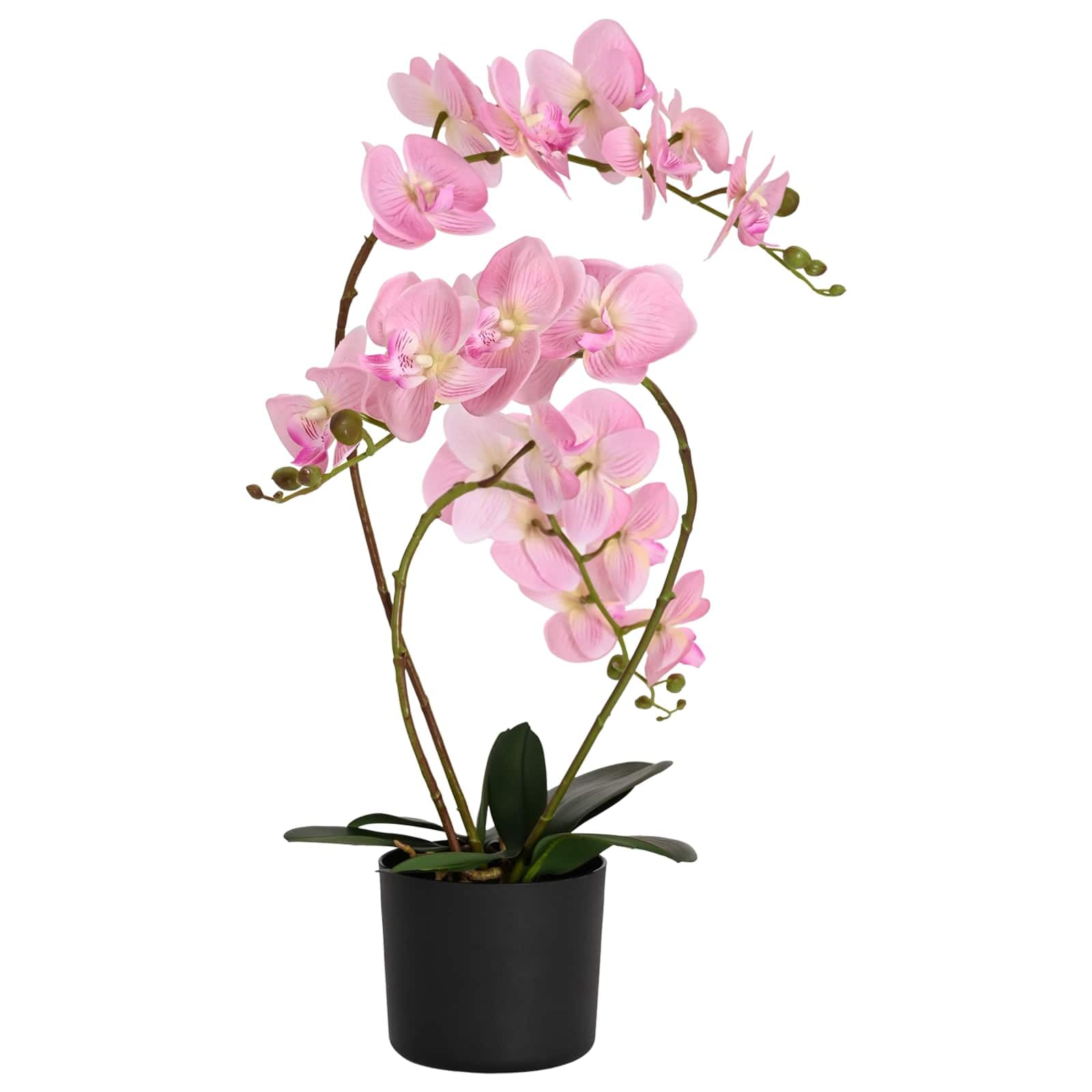 Orchidée artificielle rose pour salon et bureau chaleureux