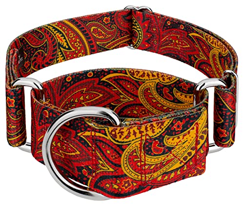Country Brook Petz - Fire Paisley Martingale Dog Collar - Paisley Collection With 6 Classy Designs (1 1/2 Inch, Medium) #TOP6