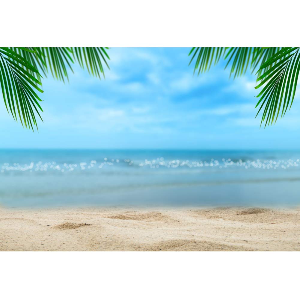 Amazon | Qinunipoto 背景布 ビーチ 海辺 夏の風景 南国 青い空 白い雲