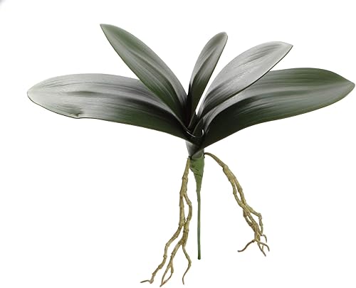 Floral Home Follaje artificial de hojas de orquídea Phalaenopsis de 14 pulgadas de ancho Paquete de 12 Tacto real Hojas y raíces de látex Hogar