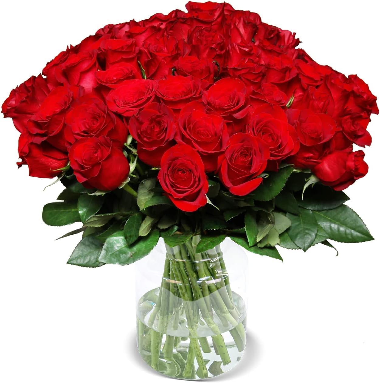 Blume Ideal Rose Bouquet 20 Red Roses Diameter 40-50 cm Premium Roses from Florists Top Quality | Ideal Flower Gift