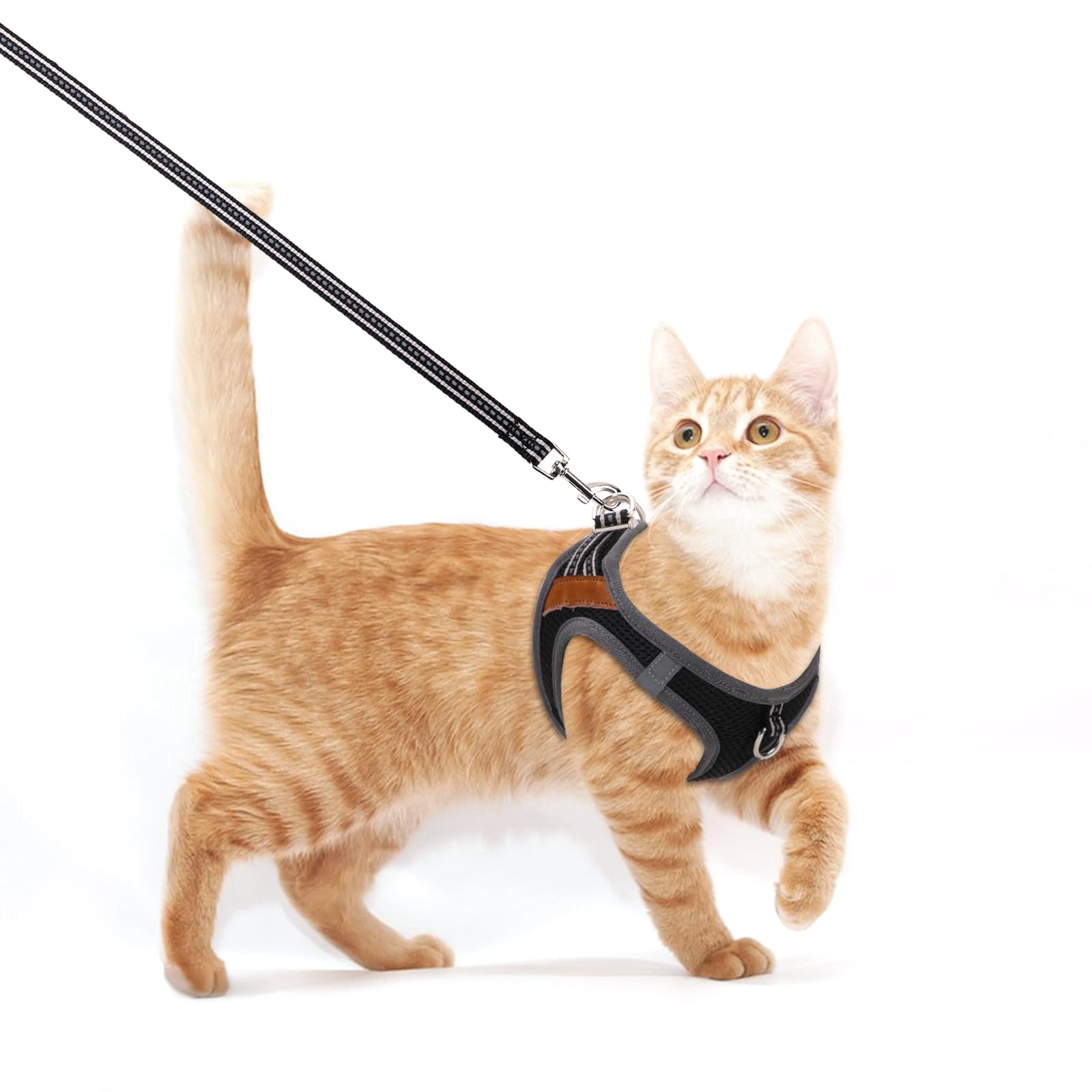 Harnais Réfléchissant Pour Chat/chiot - Avec Laisse Rétractable 3 M, Filet Respirant, Bandes Réfléchissantes, Taille M