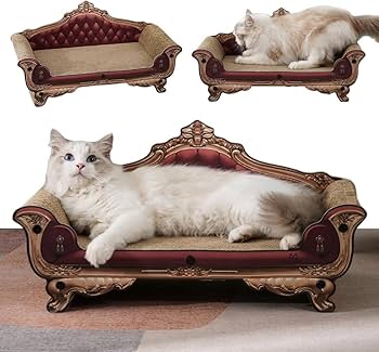 NGAP x SKOLOCT ダンボール ソファー NGAP × SKOLOCTのスペシャルコレクションがDAYZで発売