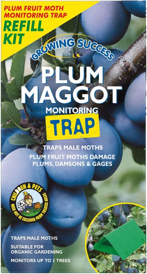 Growing Success Plum Maggot Monitoring Trap Refill Amazon.co.uk Garden
