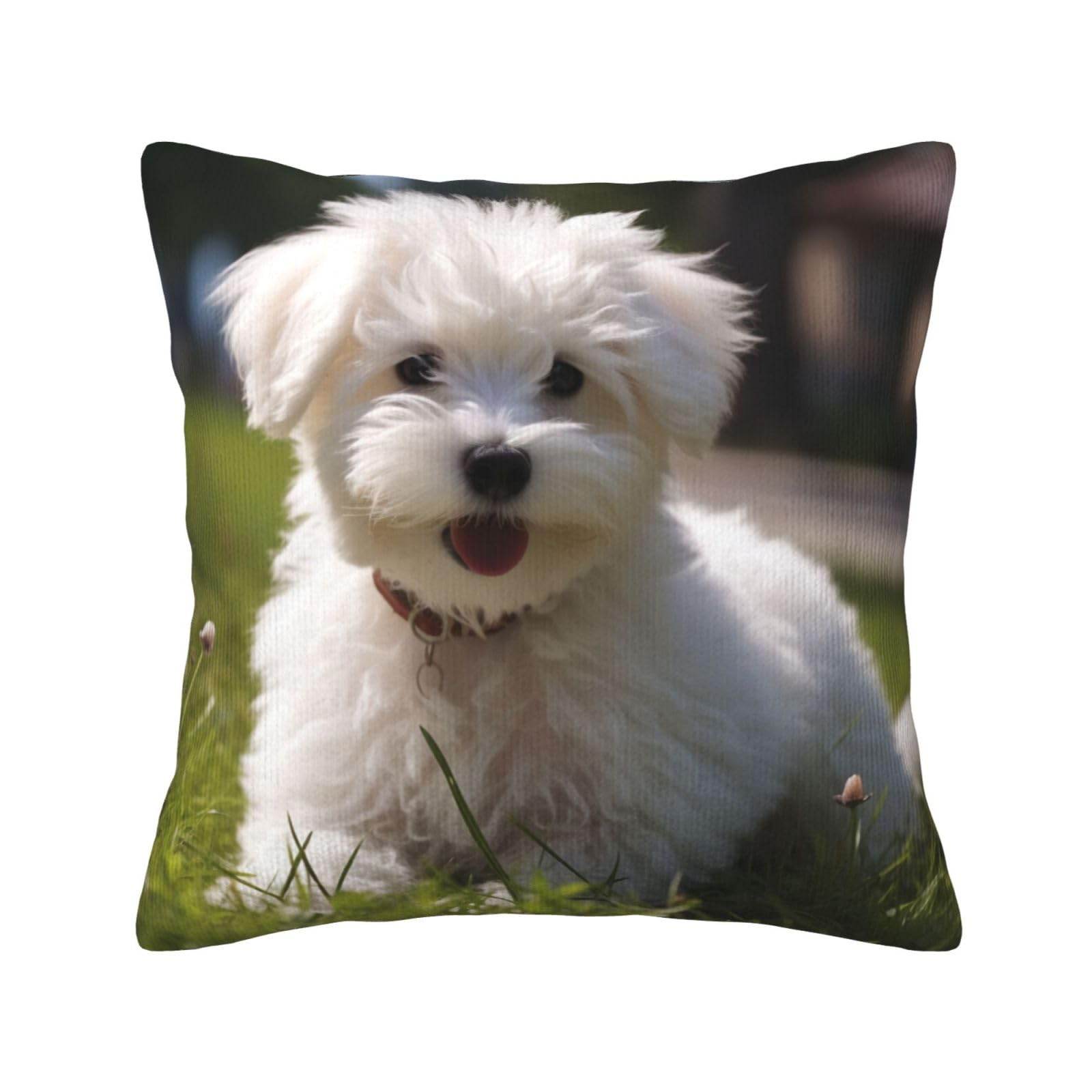 Housse de coussin velours côtelé bichon 50x50 cm pour canapé