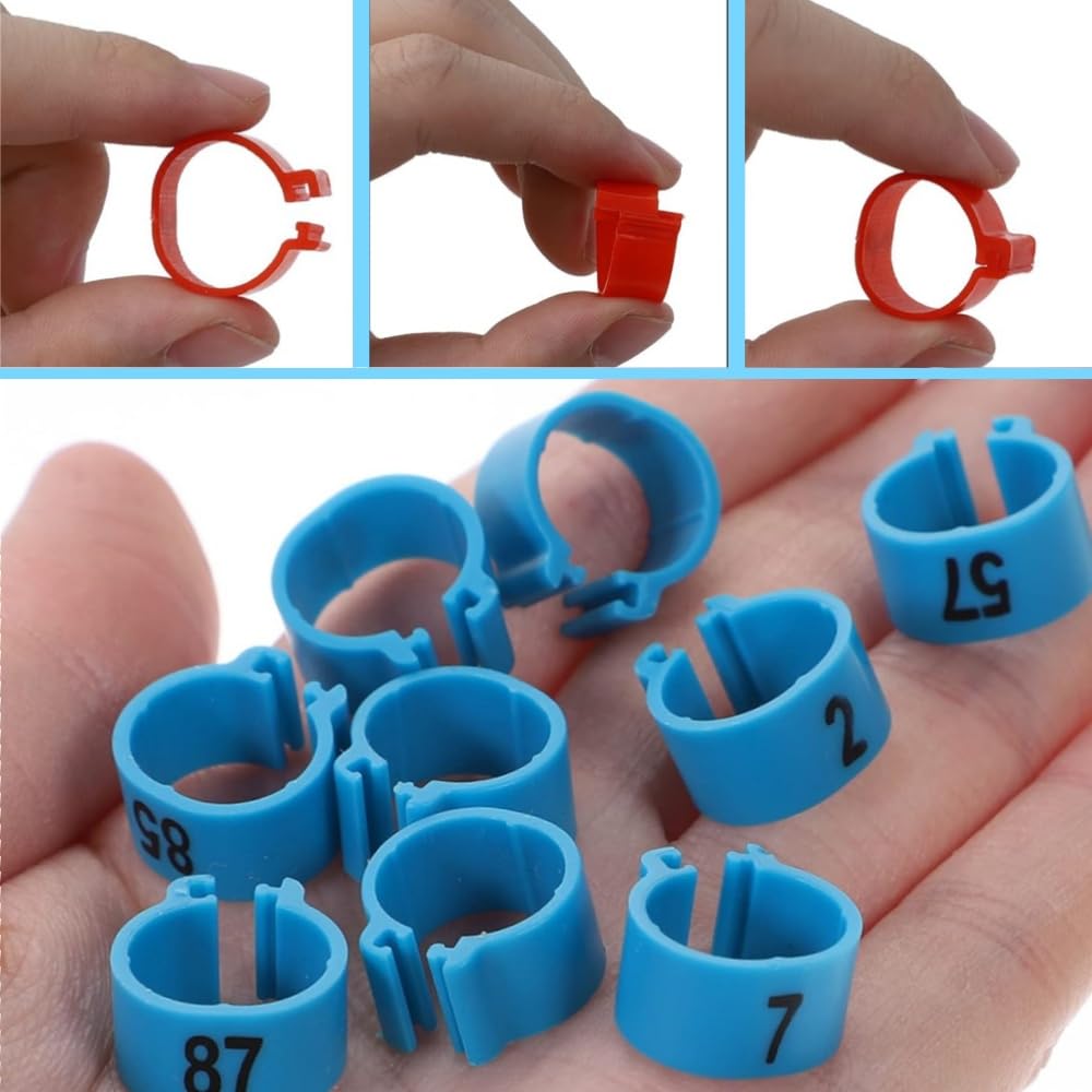 100 Anelli Per Zampa Di Pollame - Numerati Da 1 A 100, In Plastica Blu, Per Identificazione Uccelli