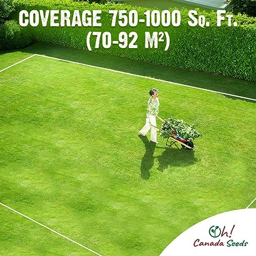 Oh! Canada Seeds White Clover Seeds, Pollinator Friendly Lawn Alternative, Ground Cover, White Flower Seeds - 2