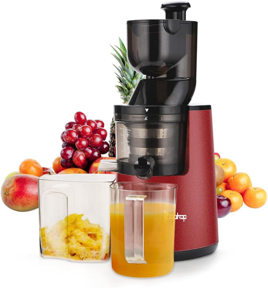 Fruit & Vegetable Juicer Machines Slow Masticating Juice
