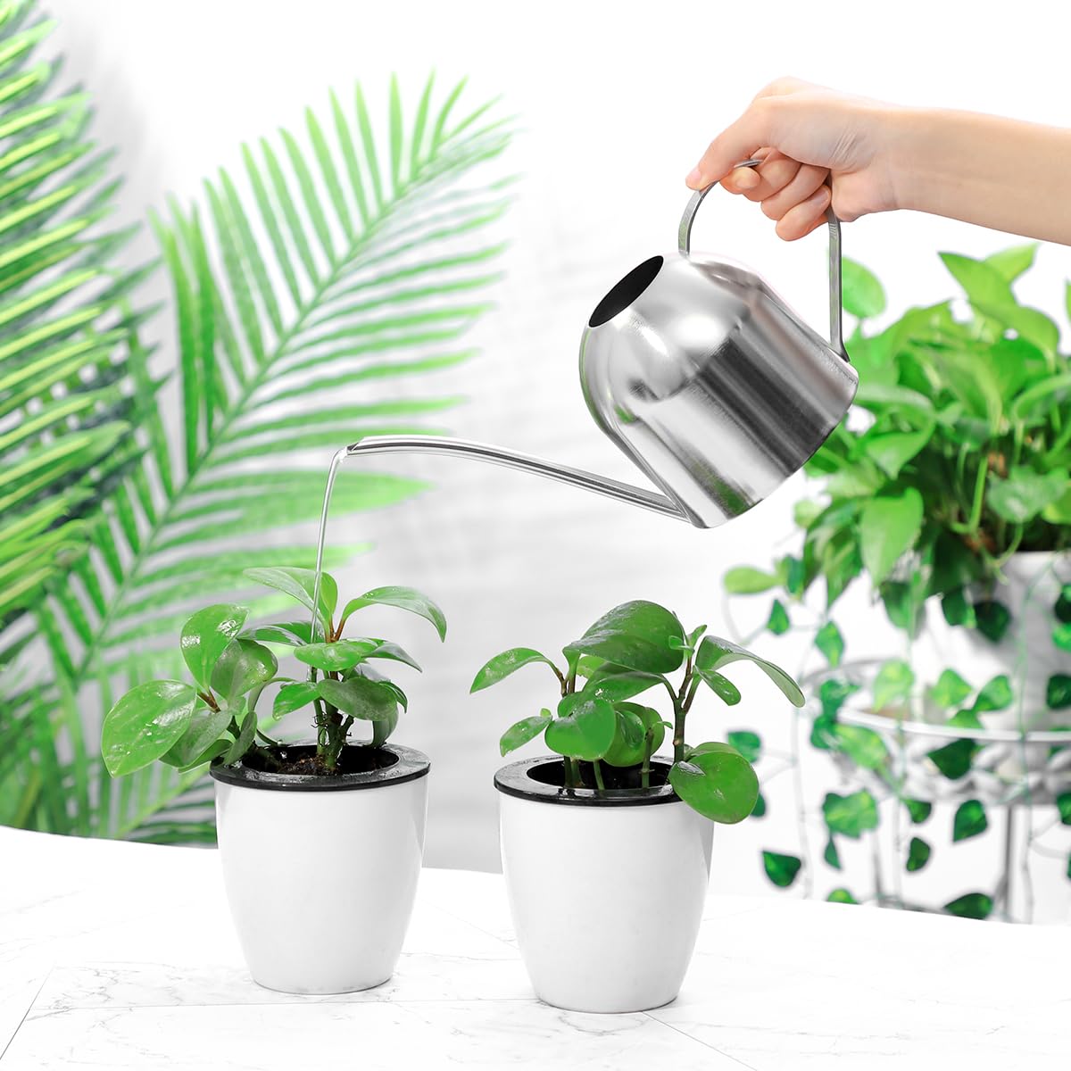 HANABASS Flower Watering can with Long Spout Stainless Steel Indoor Metal Watering Cans for House Seedling Flower Bonsai Plants (1L)