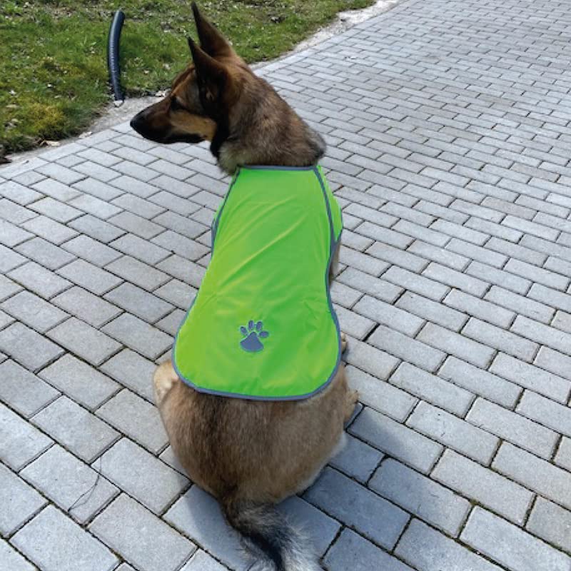 Bestlivings Reflektierende Hundewarnweste - Robust, Größenverstellbar, Reflektorweste mit Futterstoff, Sicherheitsweste für Hunde, Jacke Mantel in Grün, Größe L, Polyester