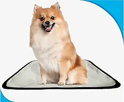 Fralda móvel pet para cachorros lavável 1un P 50x60 cm