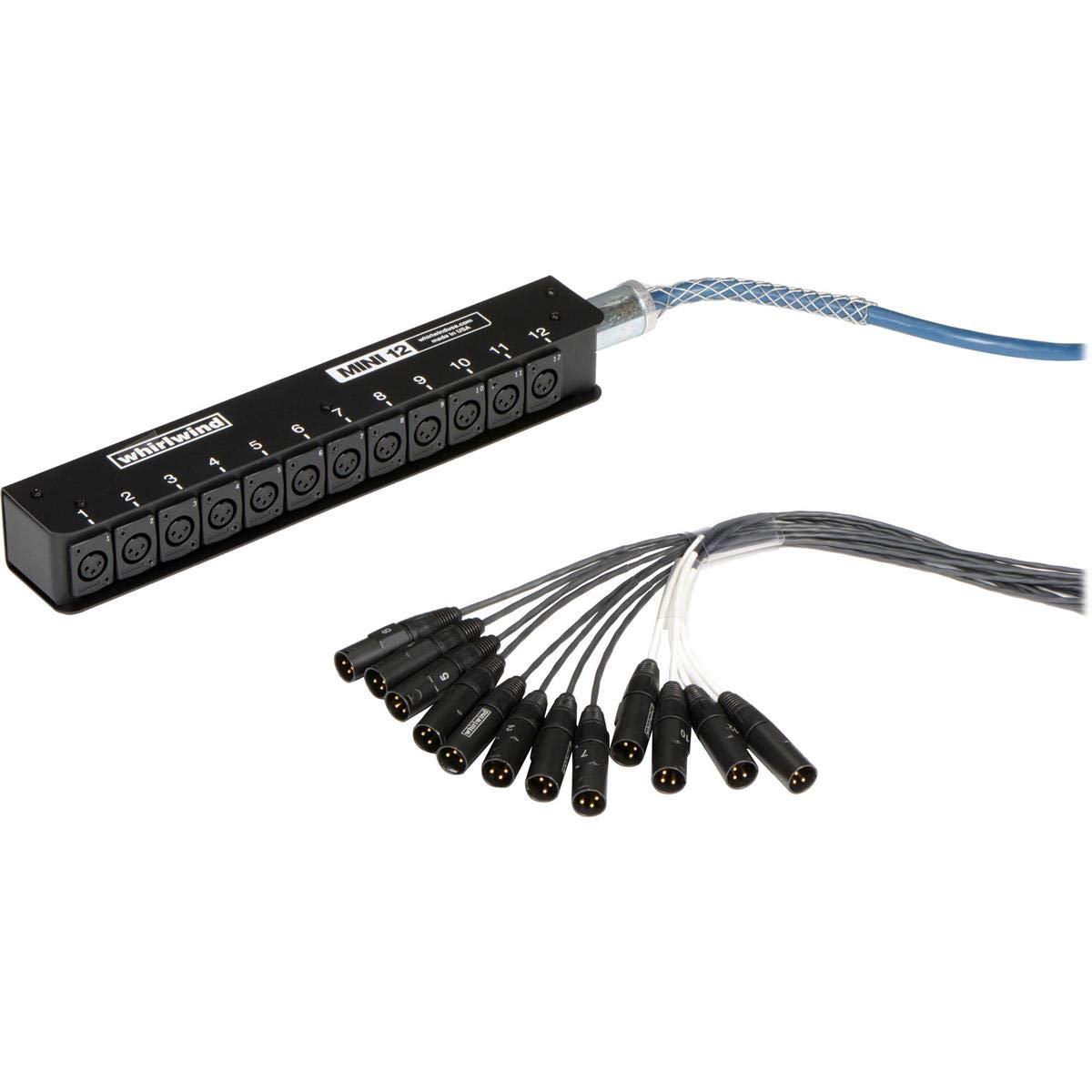 Amazon.com: Whirlwind Mini 12 Low Profile Audio Drop Snake - 25