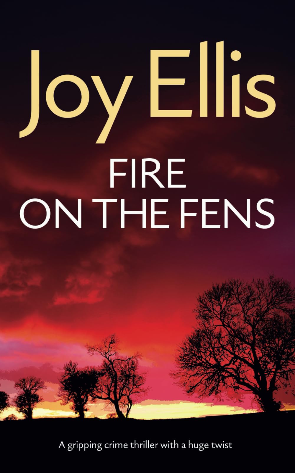 FIRE ON THE FENS a gripping crime thriller with a huge twist (Detective Nikki Galena Mysteries, Band 9) Paperback – Big Book, 14 June 2024