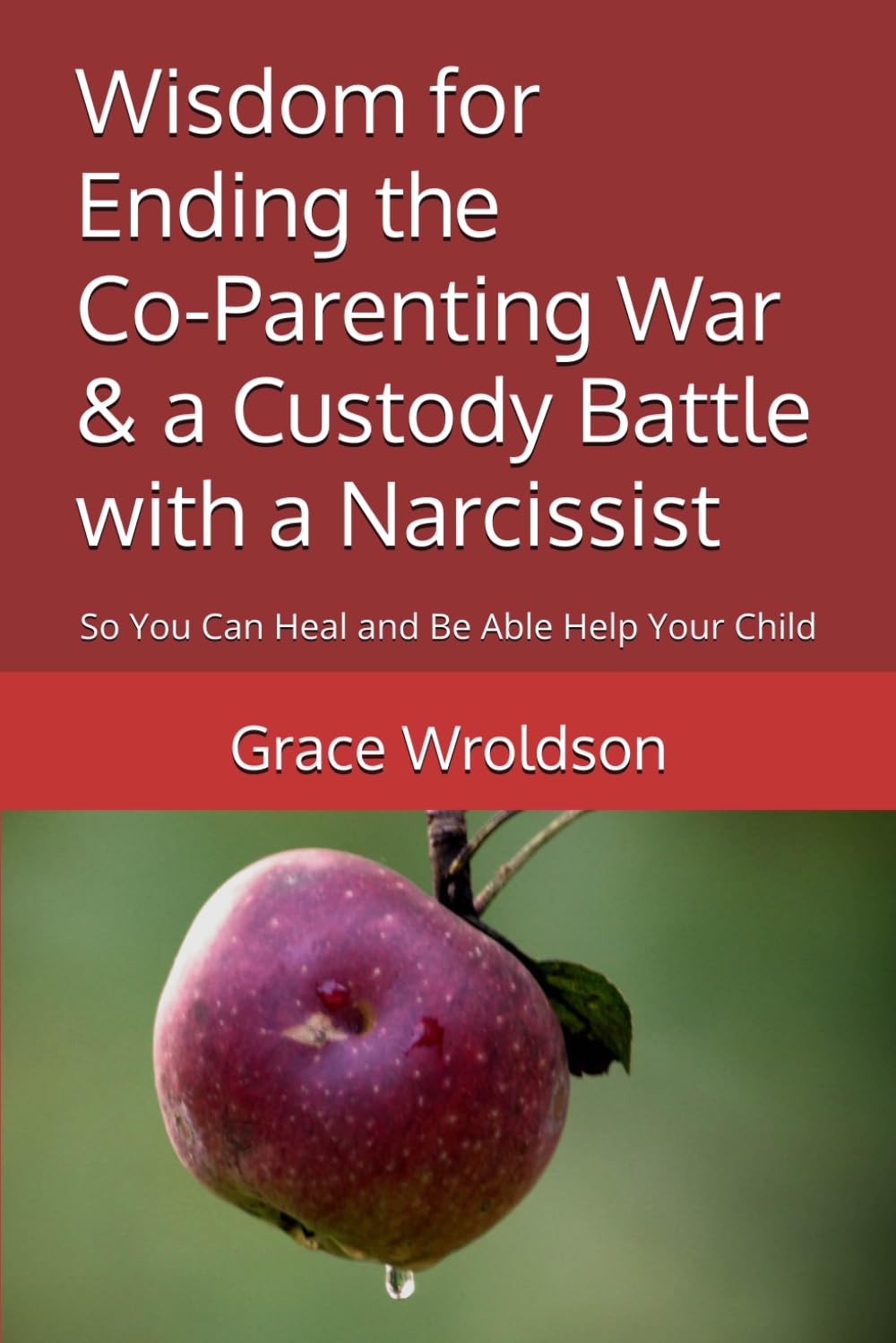 Wisdom for Ending the Co-Parenting War & a Custody Battle with a Narcissist: So You Can Heal and Be Able Help Your Child