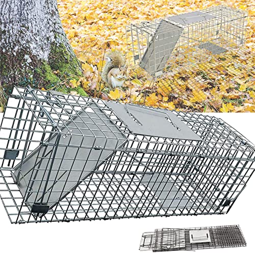 Best Rabit Traps Best Trap For Rabbits in the UK - 2026